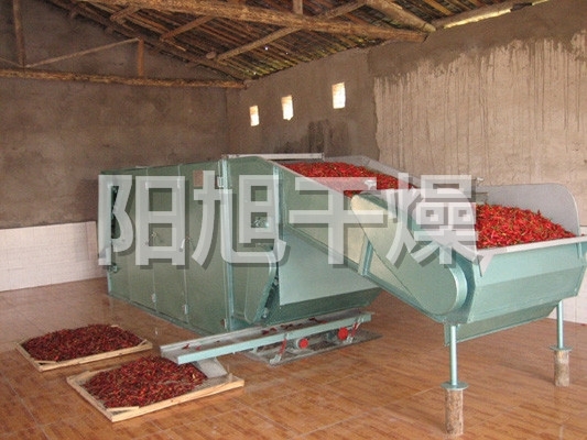 DWC系列脫水蔬菜帶式干燥機(jī)